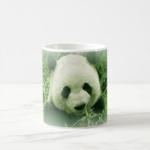 Panda Mugs
