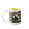 Panda on Log mugs