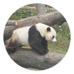 Panda on Log stickers