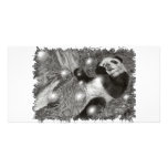 'Panda Play' by Mary Lou photo cards