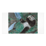 Panda Play