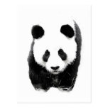Panda Post Cards