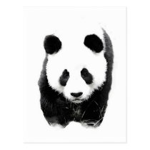 Panda postcards