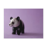 Panda Postcard