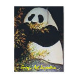 PANDA POST CARDS