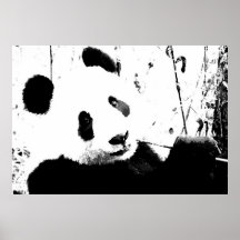 Panda Posters - Black & White Panda Face