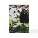 Panda Smile Birthday Card