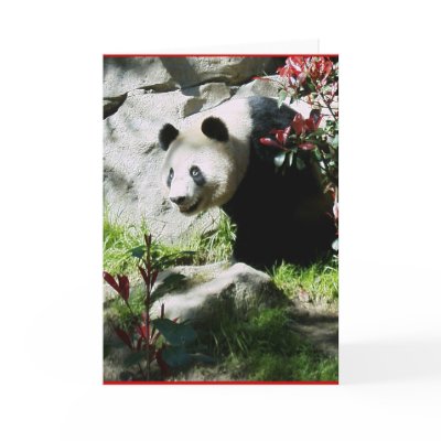 Panda Smile Card by minx267