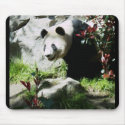 Panda Smile mousepads