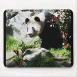 Panda Smile mousepads