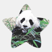 Panda Star Stickers