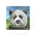 panda stickers
