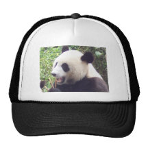 Panda Trucker Hats