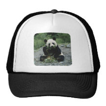 Panda Trucker Hats