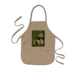 pandas2 apron