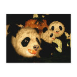Panda's at the Taipei Lantern Festival 2009 postcards