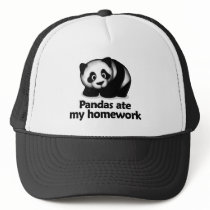 Pandas ate my homework