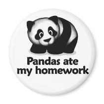 Pandas ate my homework