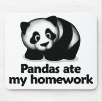 Pandas ate my homework