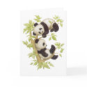 Pandas Playing in a Tree cards