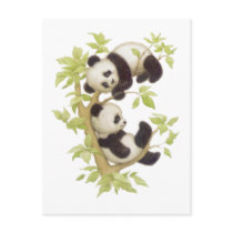 Pandas Playing in a Tree Postcard