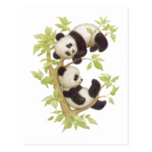 Pandas Playing in a Tree Postcard