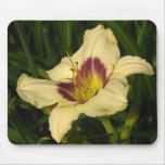 PANDORA'S BOX DAYLILY mousepad