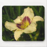 PANDORA'S BOX DAYLILY mousepad