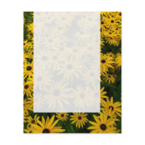 Panel 0107 - Sedum Autumn Joy (B&W)