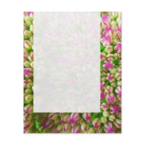 Panel 0110 - Sedum "Autumn Joy" (B&W)