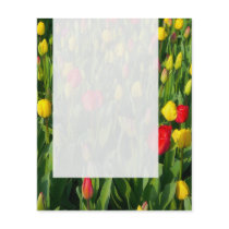 Panel 021 - Tulips