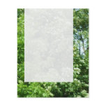 Panel 024 - Summer Breeze flyers