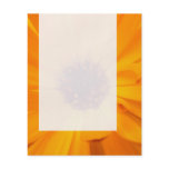 Panel 026 - Orange Marigold flyers