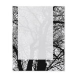 Panel 054 - High Contrast Tree flyers