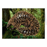Pangolin Card