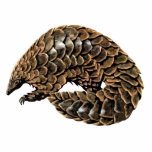 Pangolin Cutout Magnet/Sculpture photo sculptures