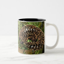 Pangolin Mug