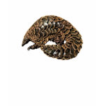 Pangolin Shirt