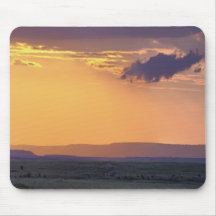 Panoramic view of single acacia tree at mouse pad
