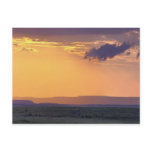 Panoramic view of single acacia tree at postcards