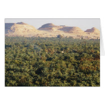 Panoramic View of the Palm Gardens in Siwa Oasis cards