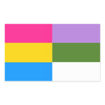 Pansexual/genderqueer flag stickers