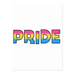 Pansexual/Omnisexual Pride Post Card