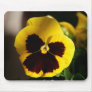 Pansey Photo Mouse Pad