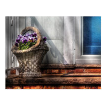 Pansies - Basket of flowers Postcards