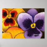Pansy #1 Art Print