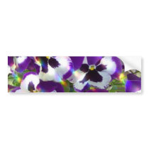 Pansy Bumper Sticker
