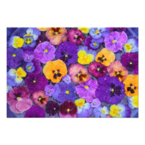 Pansy flowers floating in bird bath with dew