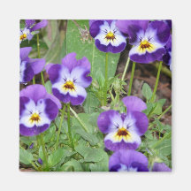 pansy fridge magnet
