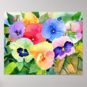 Pansy Garden Print